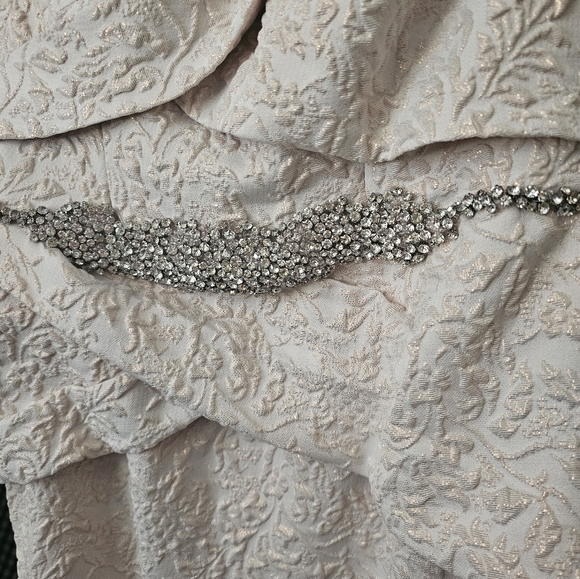 Terani Couture Blush and Gold Evening Gown - Picture 2 of 10